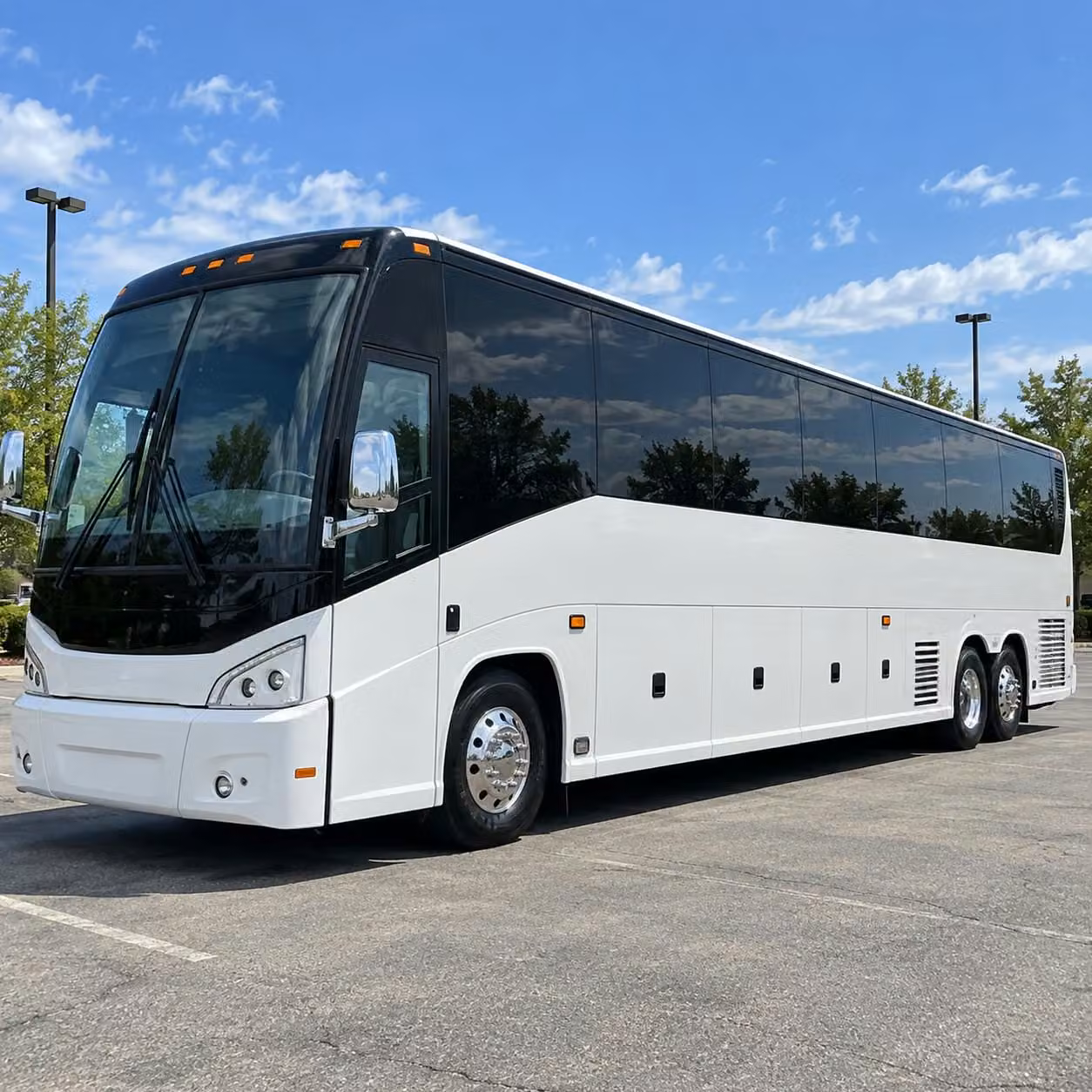 56 passenger charter bus